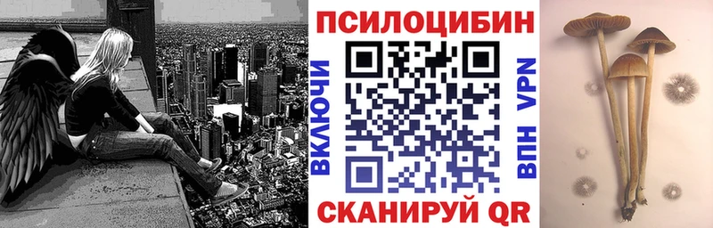 Галлюциногенные грибы Psilocybine cubensis  Мурино 